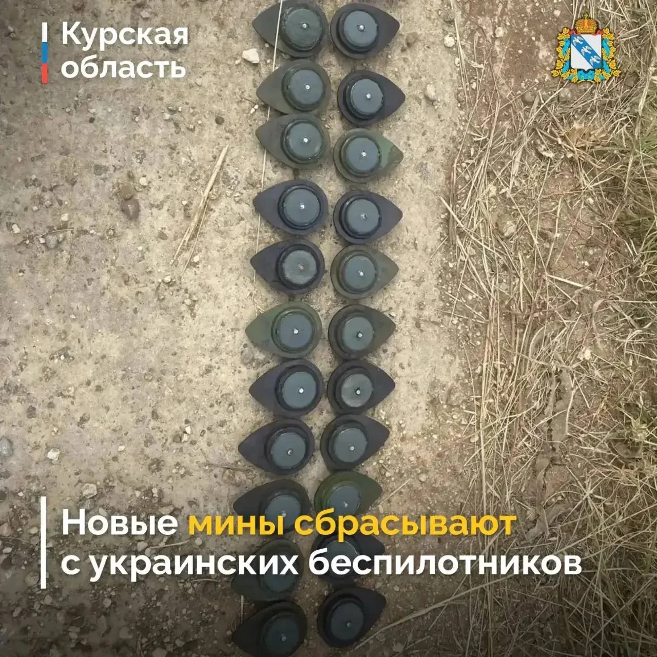 В приграничье Курской области могут появиться новые мины

ВСУ начали применять новые противопехотные