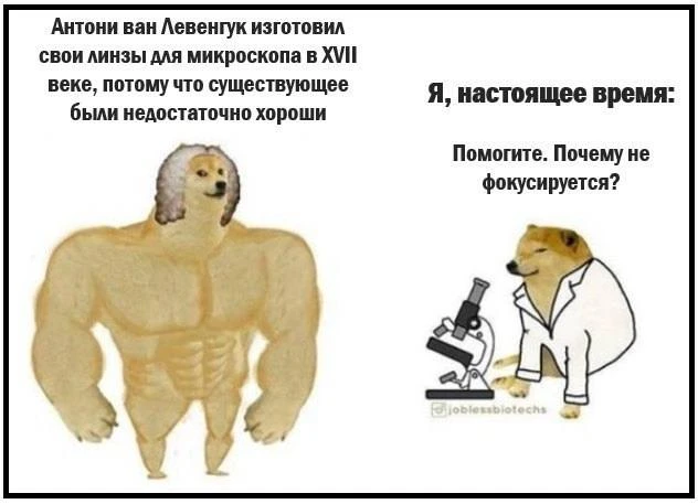 Всех с началом новой рабочей недели! С первым днем лета! Хорошего настроения!
👩‍🔬🧬🧫🔬