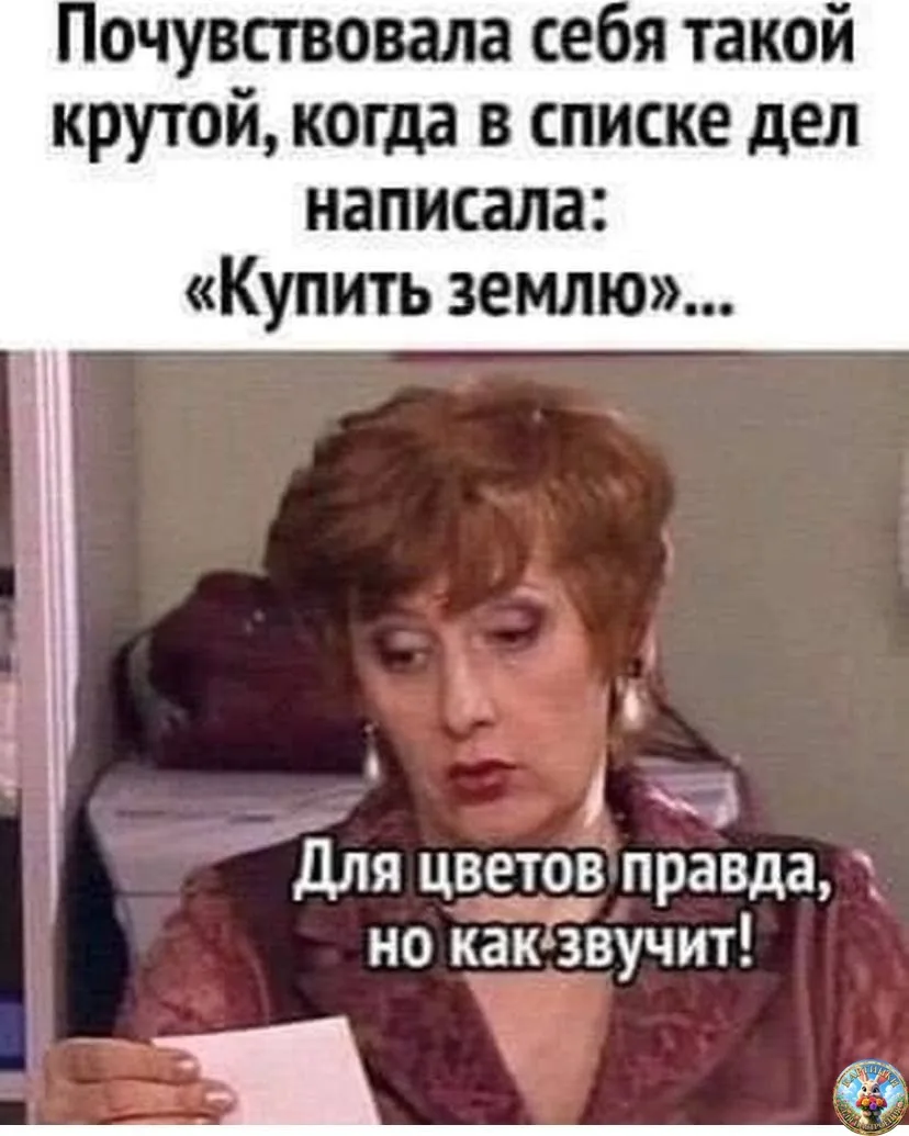 Картинки для настроения😊 | Юмор