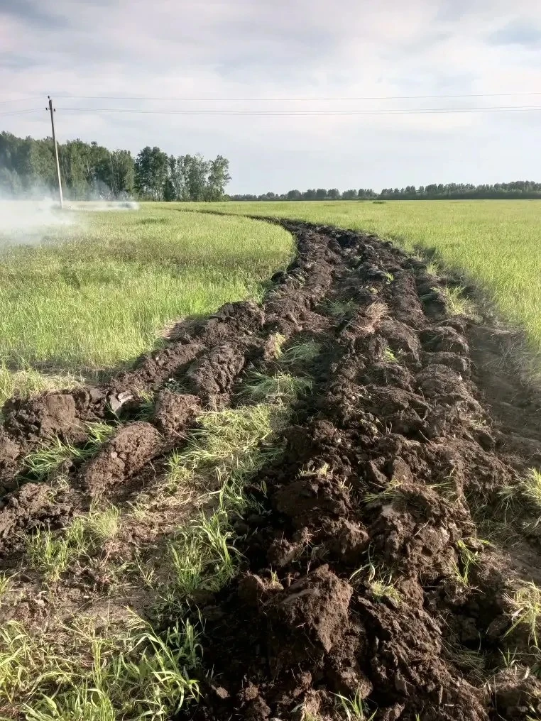 Лесные пожары:
— Всего потушено 79 лесных пожаров на 321,6 га.
— За последние сутки — 7 пожаров на 9