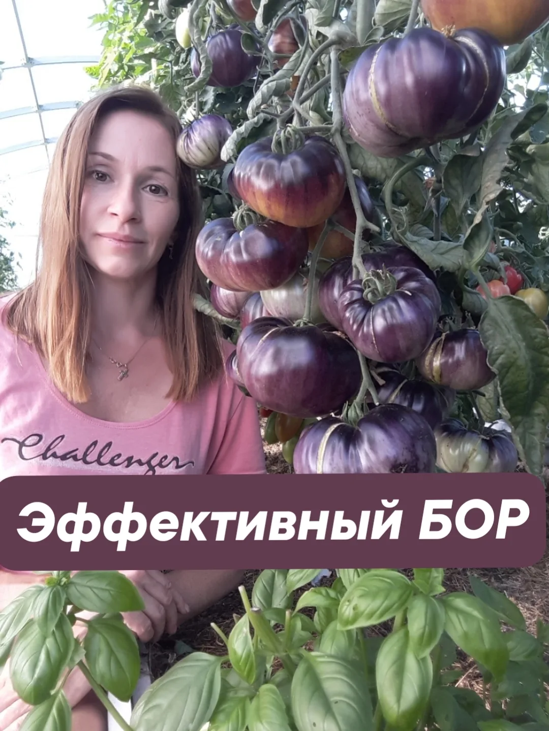 🍆🍅🫑ЭФФЕКТИВНАЯ ПОДКОРМКА БОРОМ!

🔹️Бор – очень важный микроэлемент для растений. Дефицит бора не