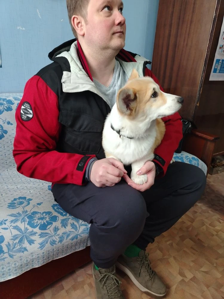 Вот такой красавчик на осмотре