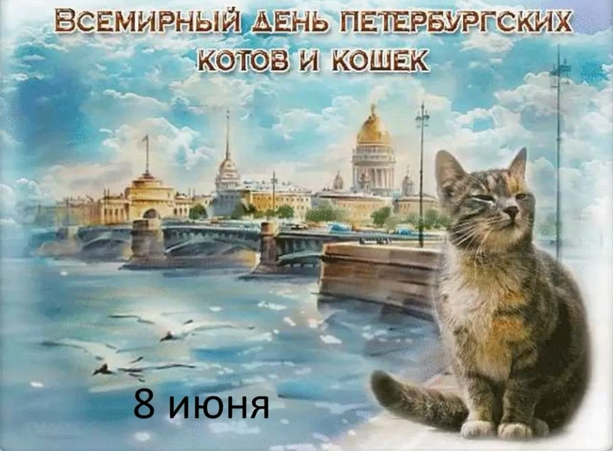 🐈🐈‍⬛ 8 июня отмечают день петербургских котов и кошек 🐈

🐈 Всемирный день петербургских котов и 
