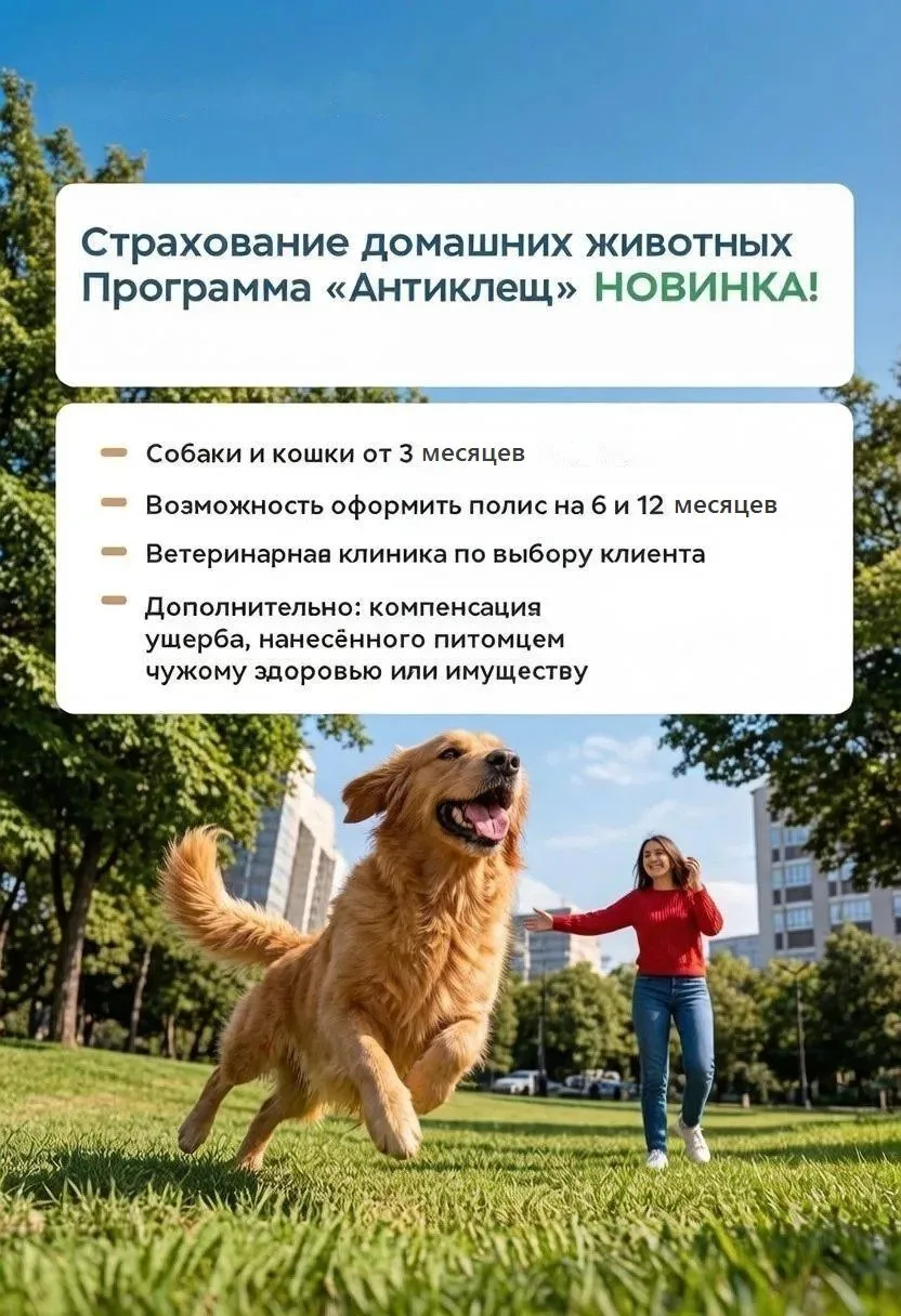 🌲 Прогулки без страха- новая защита домашних питомцев от клещей!
                                  
