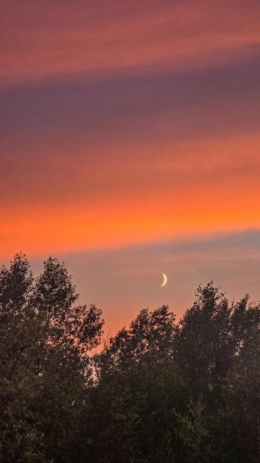 🌘Теперь продолжительность светового дня медленно будет уменьшаться 

📷: Создаю настроение