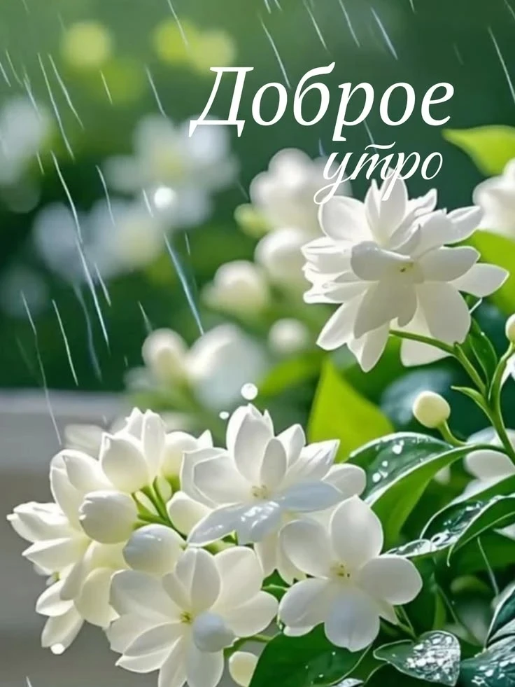 🌸 Рассказы | Подписаться 🍀