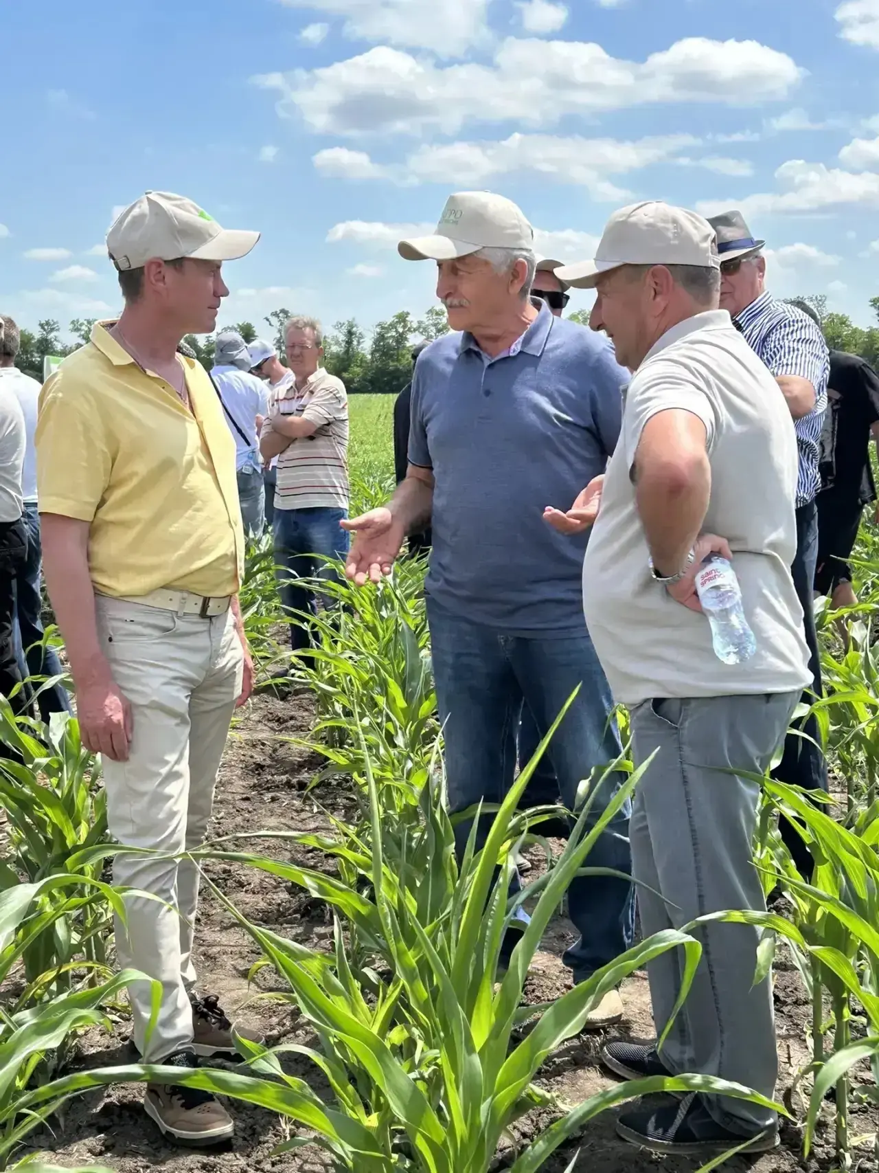 🌽 Вчера 18 июня «Агросогласие» провело День поля в Тбилисском районе Краснодарского края, посвящённ