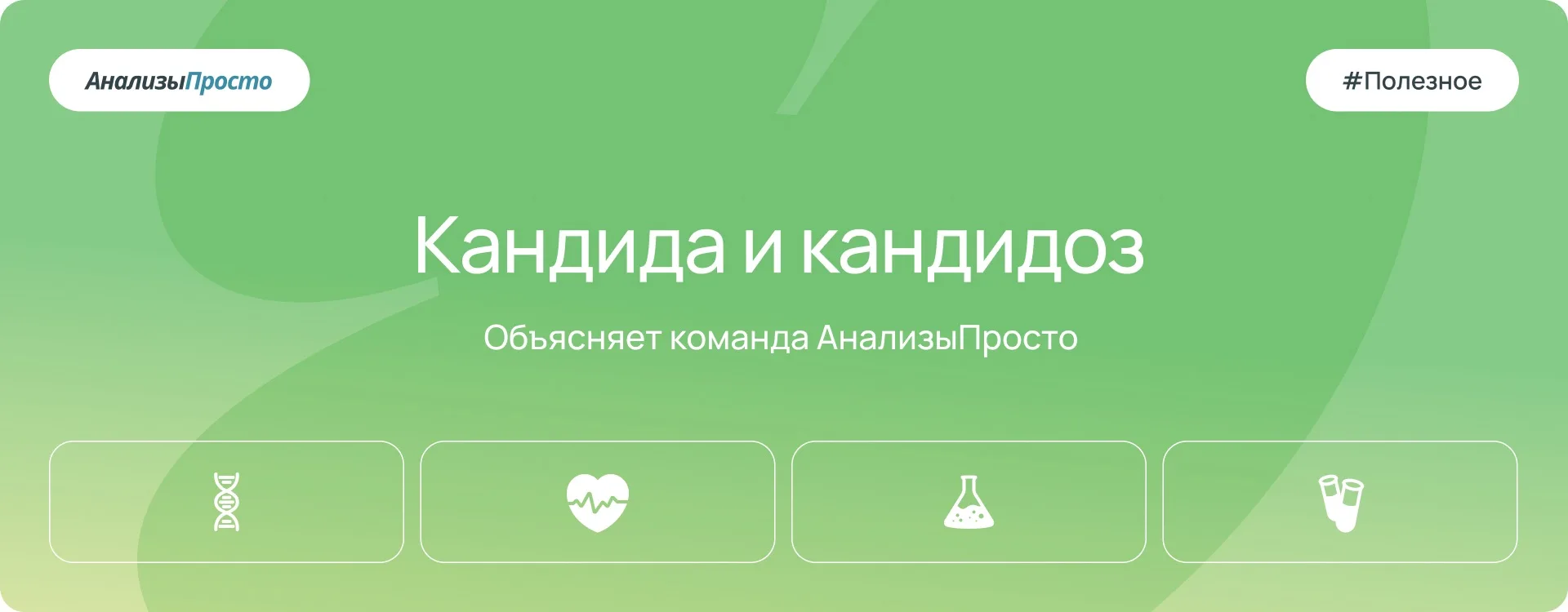 Кандида - самые распространенные дрожжеподобные грибки, присутствуют у всех людей и обычно не опасны