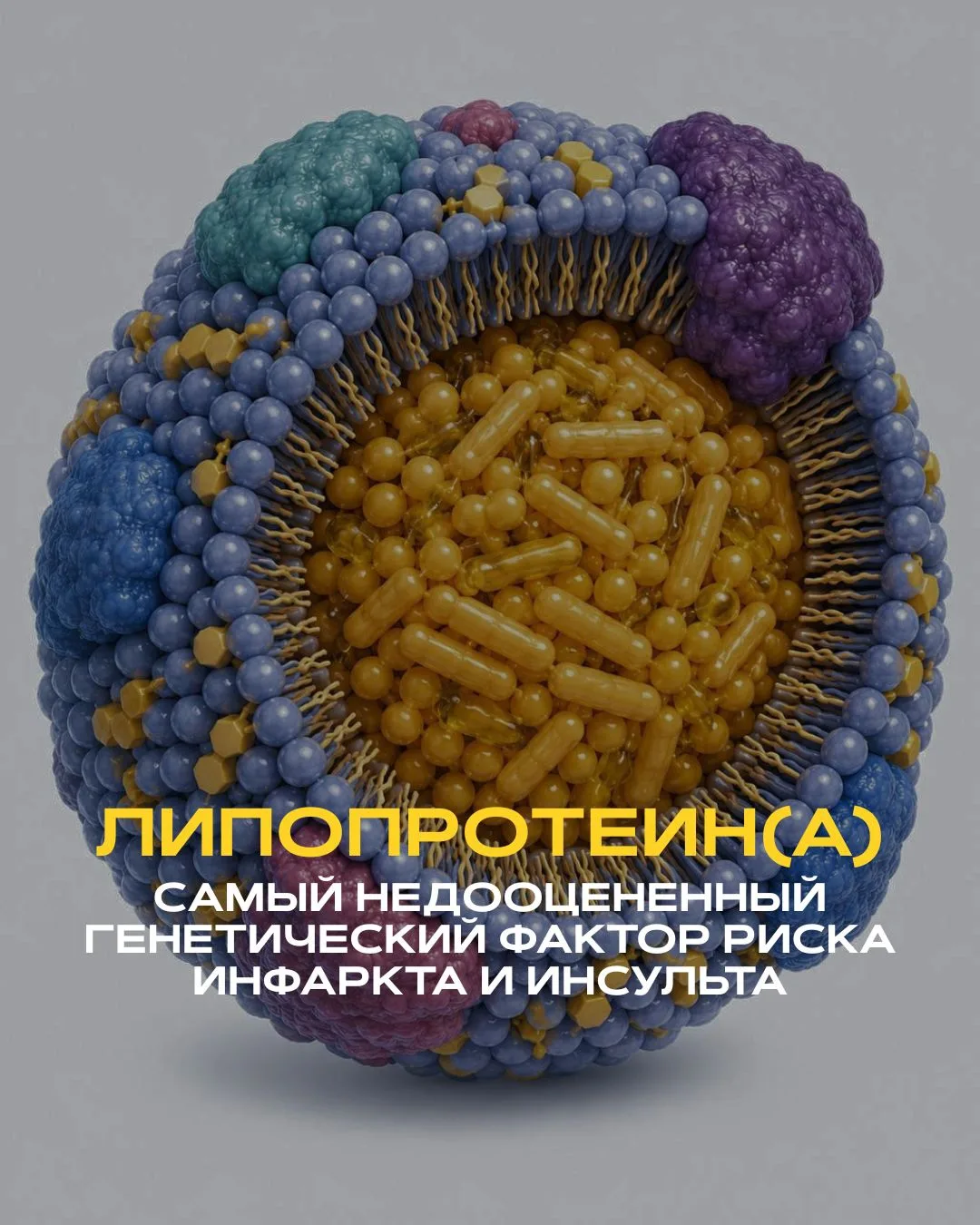 Каждый 5-й человек имеет повышенный уровень липопротеина(а). Большинство никогда его не проверяли и 