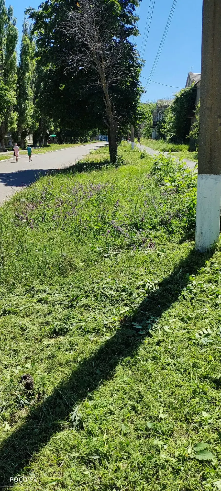 Оперативная сводка по благоустройству Амвросиевского округа за 01.07.2026

Специалисты МБУ «Благоуст