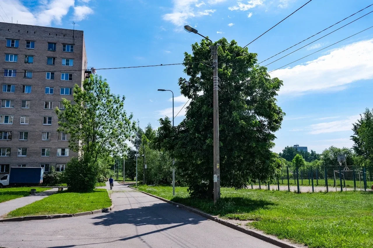 Три жилых квартала в Металлострое станут светлее более чем в 5 раз

В посёлке Металлострой началась 