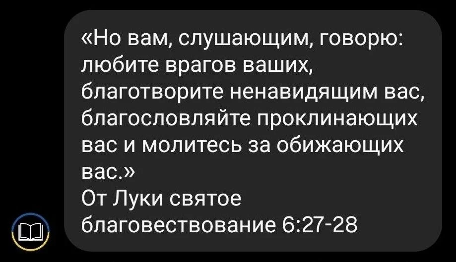 Пронзительные слова (не поворачивается язык сказать «проповеди») отца Николая в нашем канале вызвали