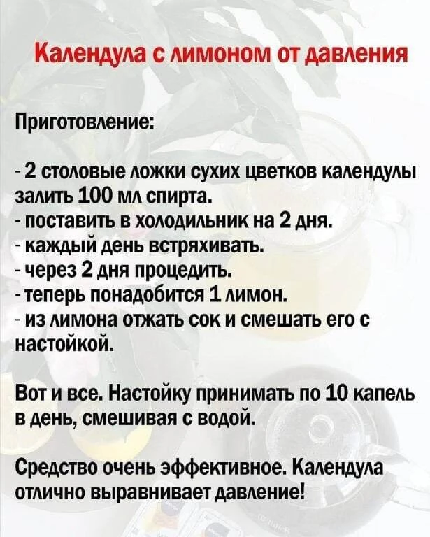 В народной медицине настойка календулы при гипертонии считается одним из лучших средств, которое спо