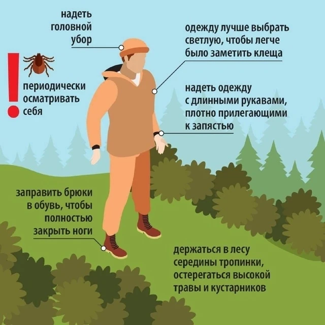 СЕЗОН АКТИВНОСТИ КЛЕЩЕЙ В САМОМ РАЗГАРЕ!

С начала мая резко увеличилось количество обращений вологж