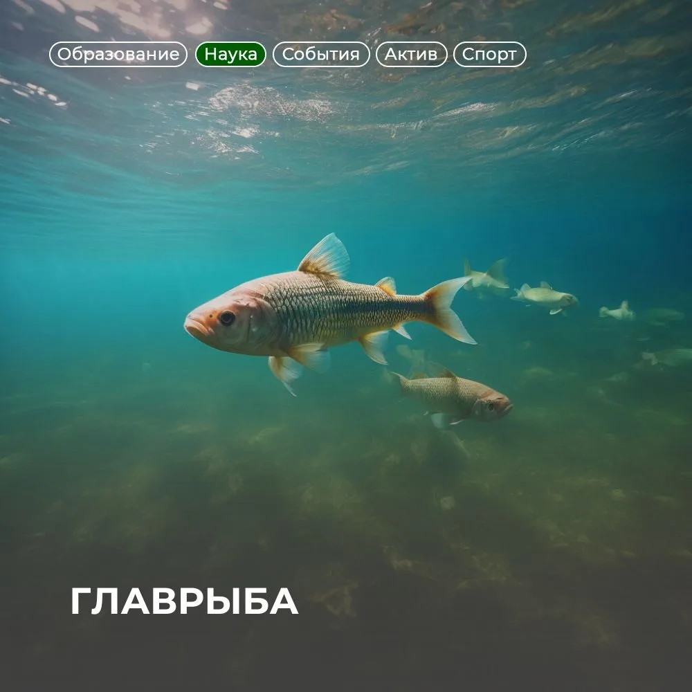 Язь! Здоровенный 🎣

Аспирант кафедры зоологии и аквакультуры Антон Кандыбин выступил с докладом на 