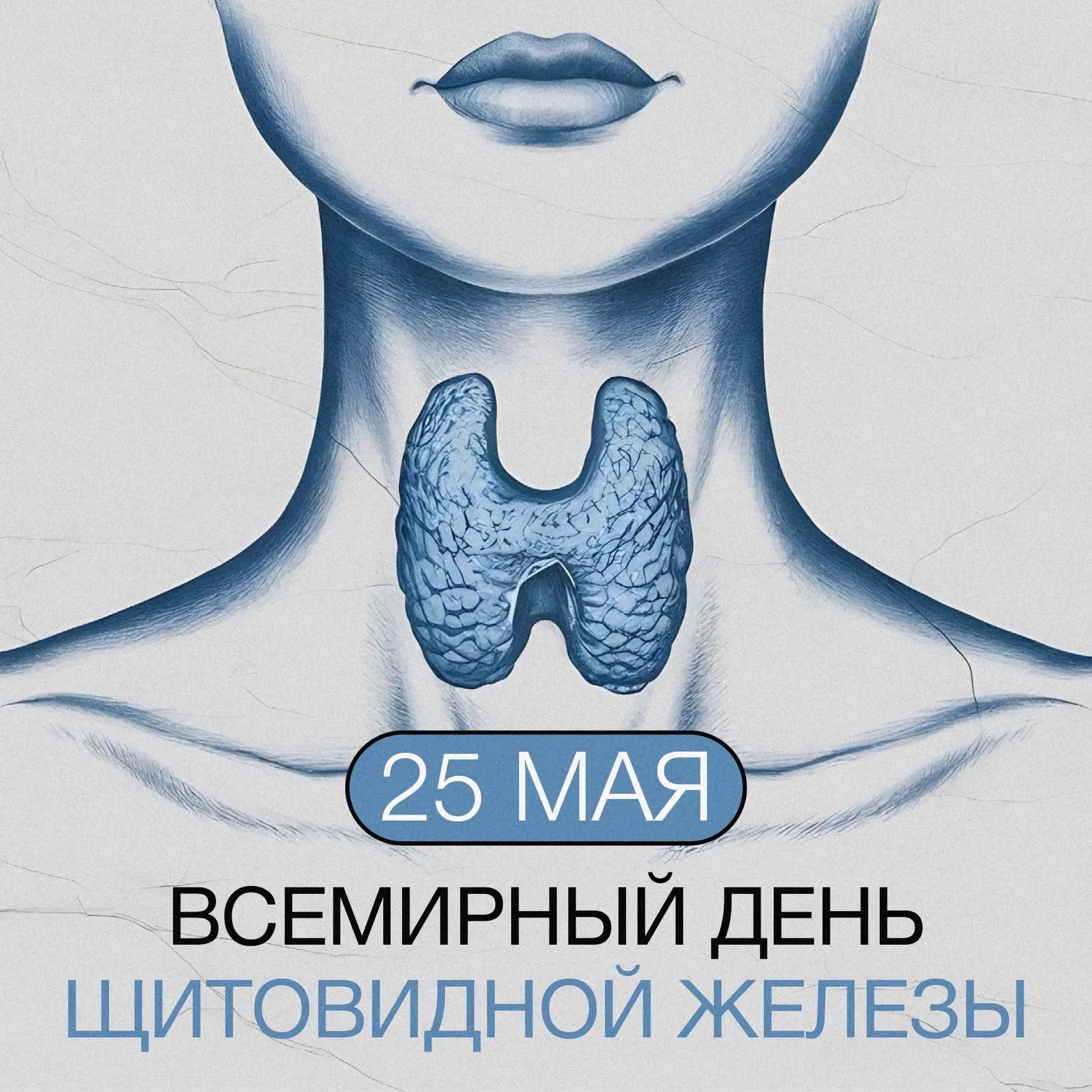 Как ваша щитовидка?

🗓 Сегодня Всемирный день щитовидной железы — органа, который вырабатывает горм