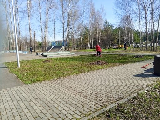 Отличные новости из городского парка! Сегодня наша дружная команда из МАУ СК "Шахтер" не осталась в 