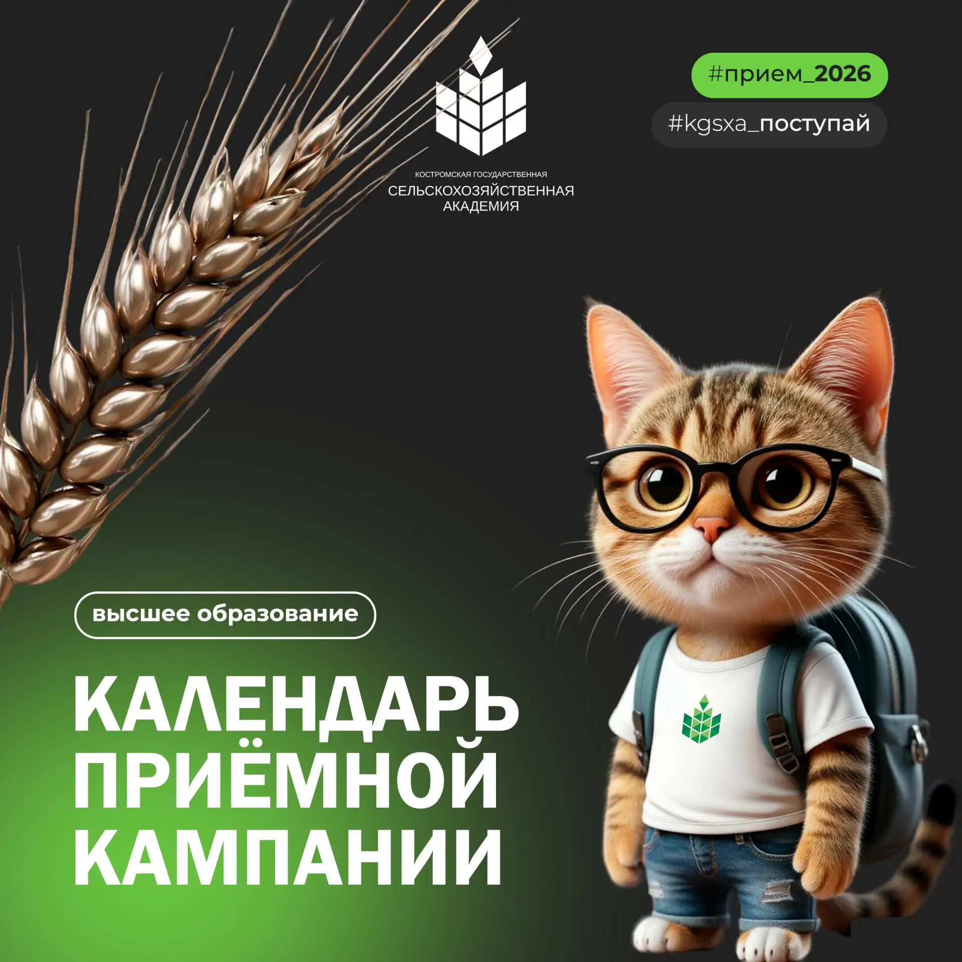 Поступаешь на «вышку»? Знакомься с этапами приёмной кампании-2026

Какие сроки подачи документов, ко
