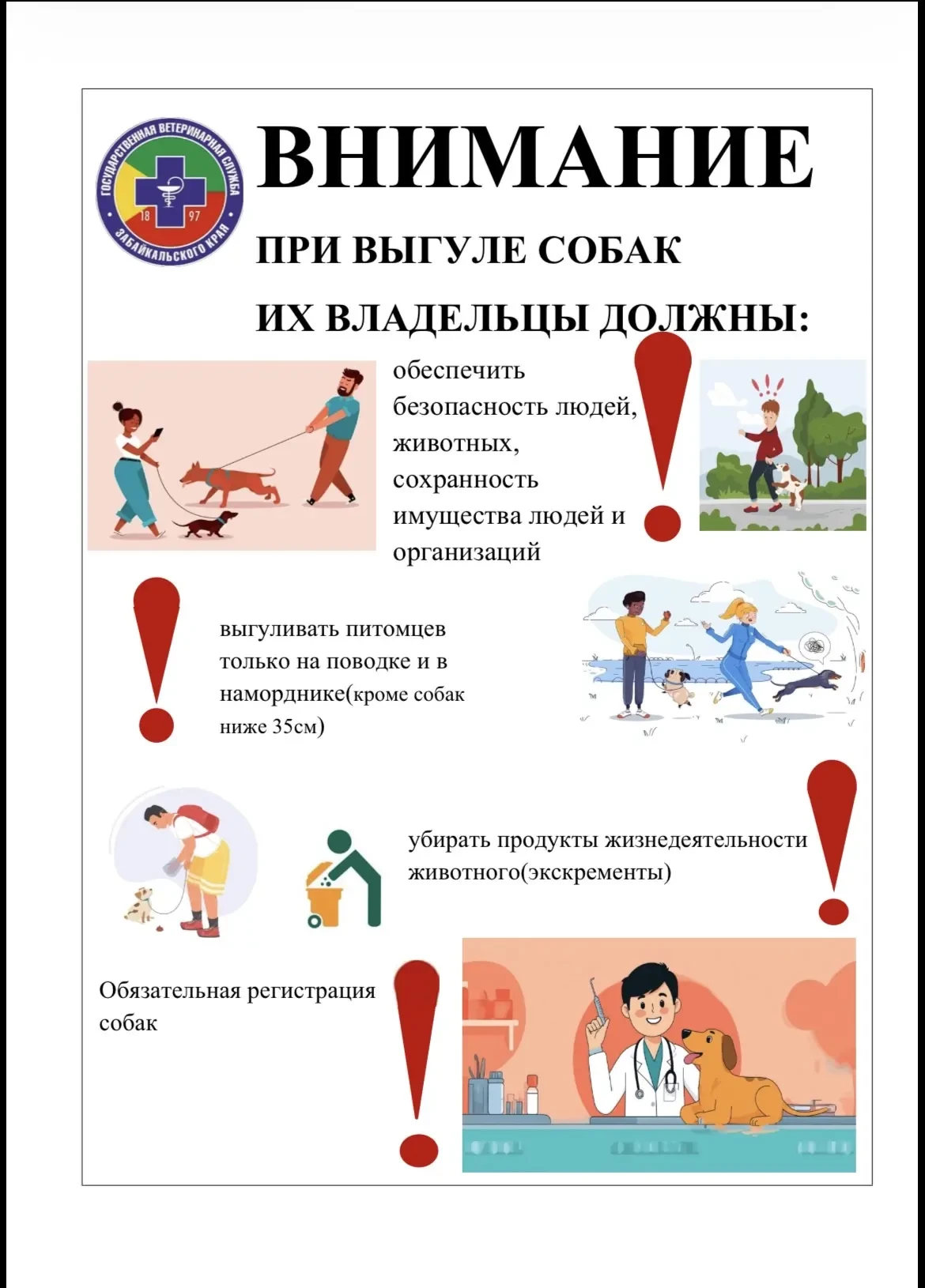 Уважаемые жильцы!
ООО УК "Пятая" совместно с Государственной Ветеринарной службой Забайкальского кра