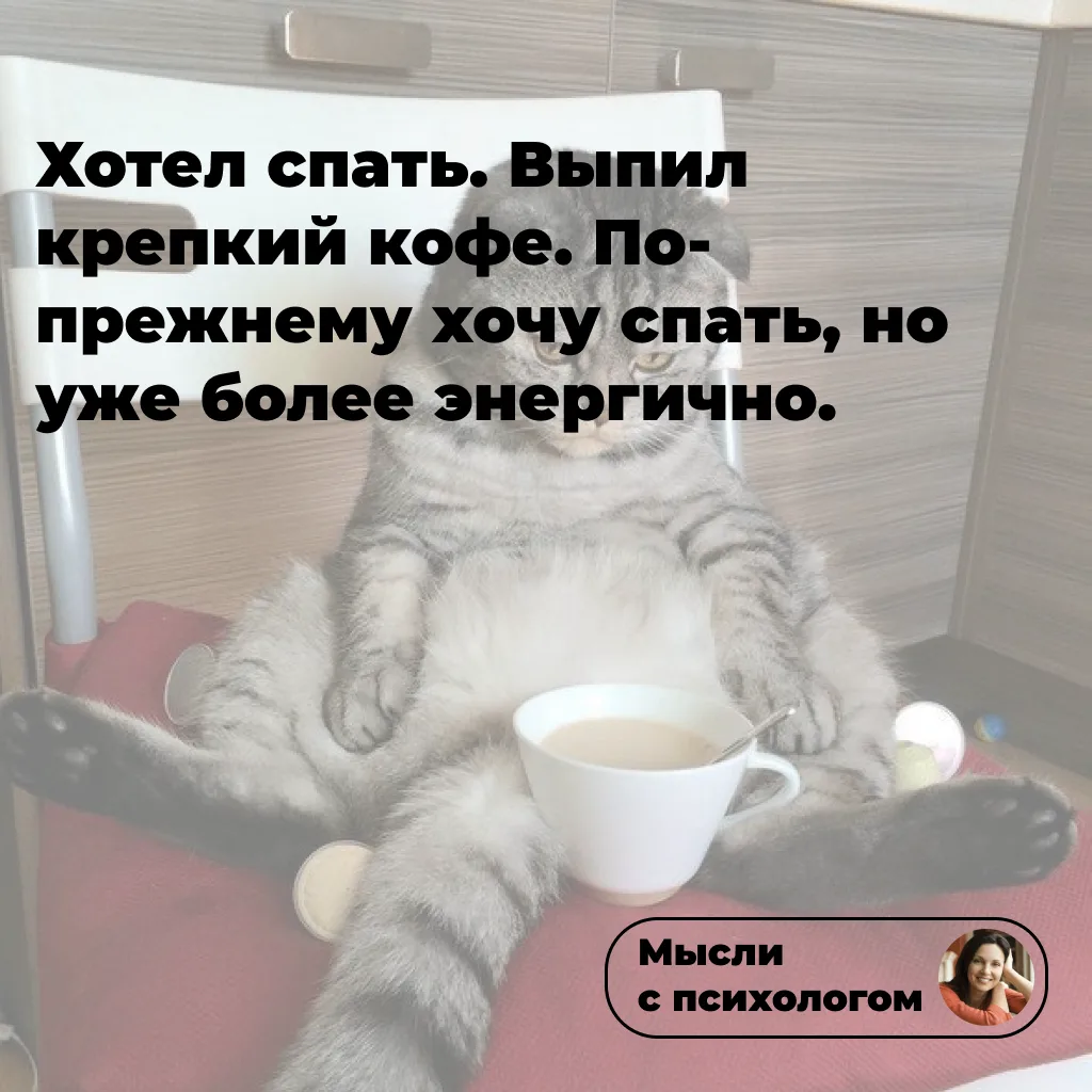🤣

👉 ссылка на мой блог