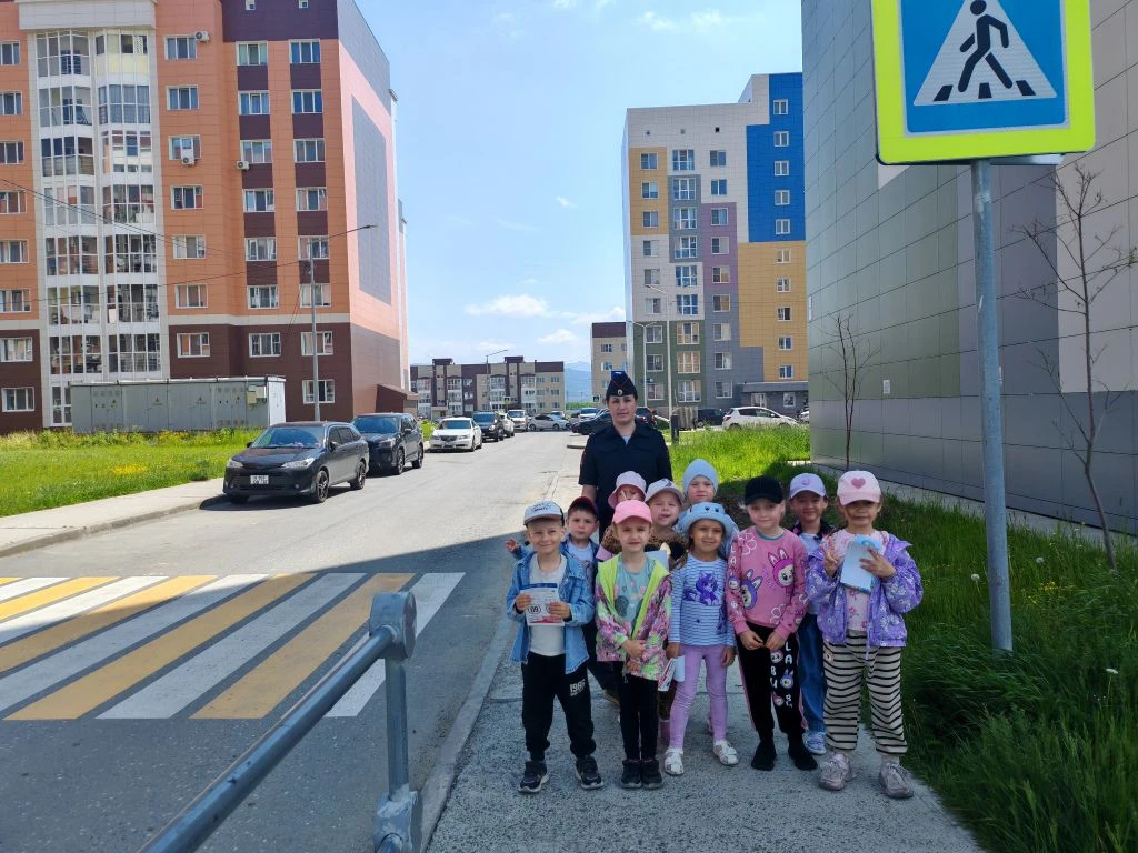 Акция «Осторожно, пешеход!» прошла в селе
Новотроицкое

🚔Сотрудники анивской Госавтоинспекции прове