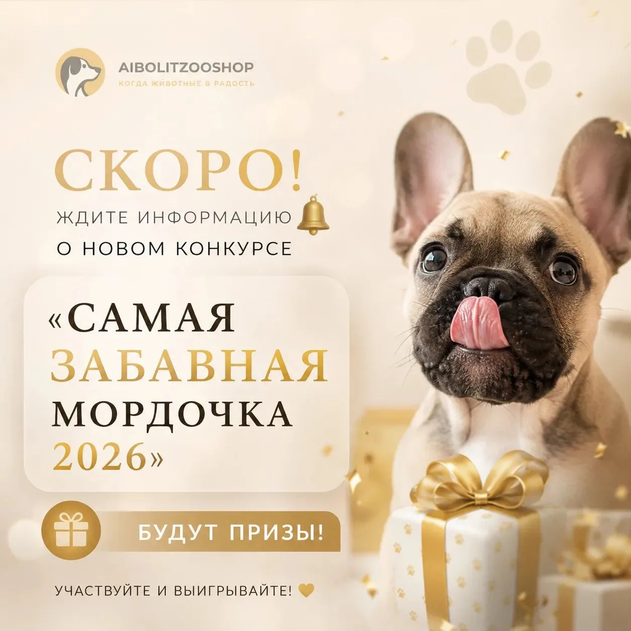 Друзья, скоро стартует конкурс «Самая забавная мордочка 2026». Будем выбирать самое смешное фото пит
