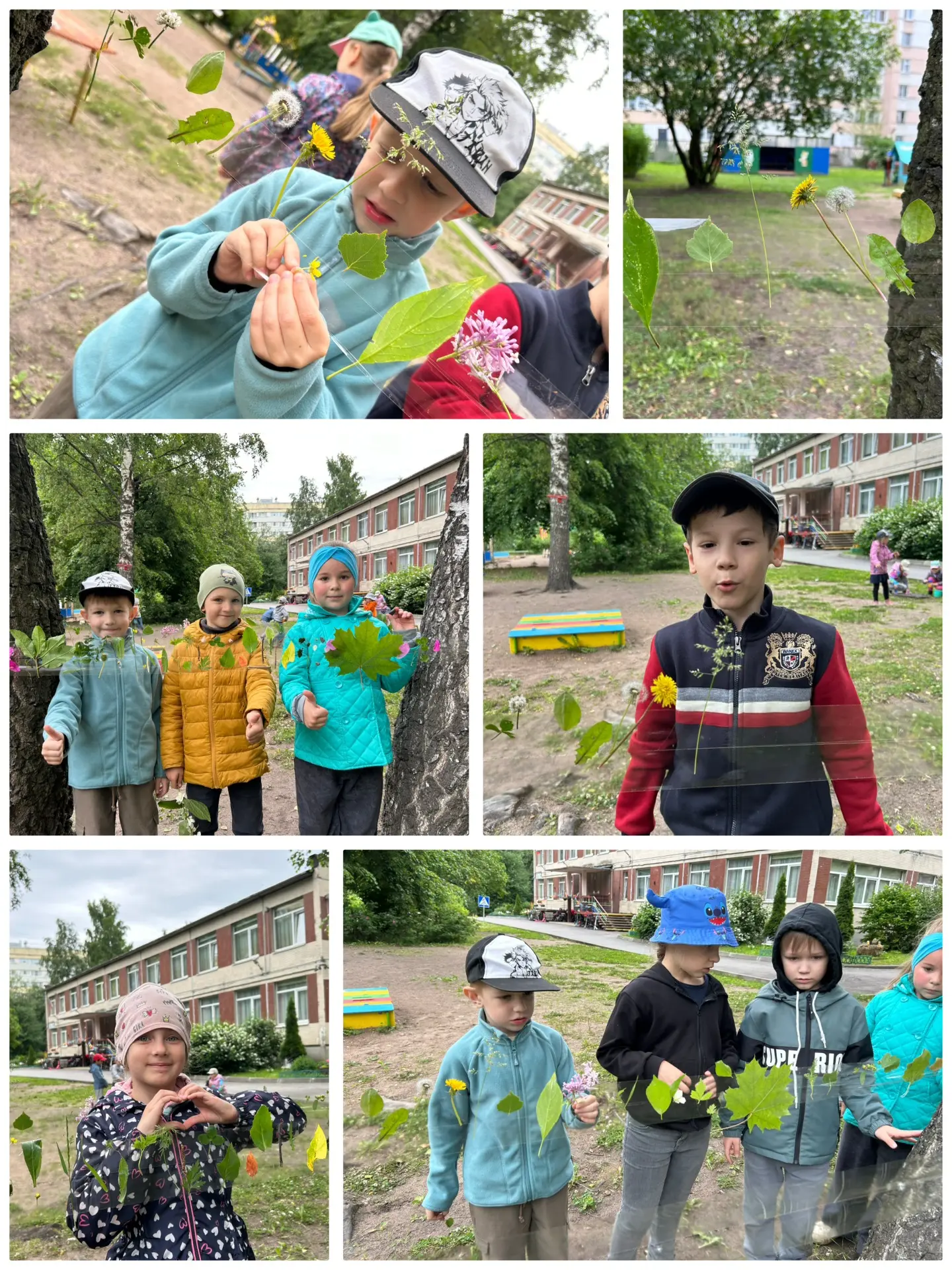🕵️Вчера наши подготовишки превратились в настоящих исследователей! 

🍃На прогулке ребята с огромны