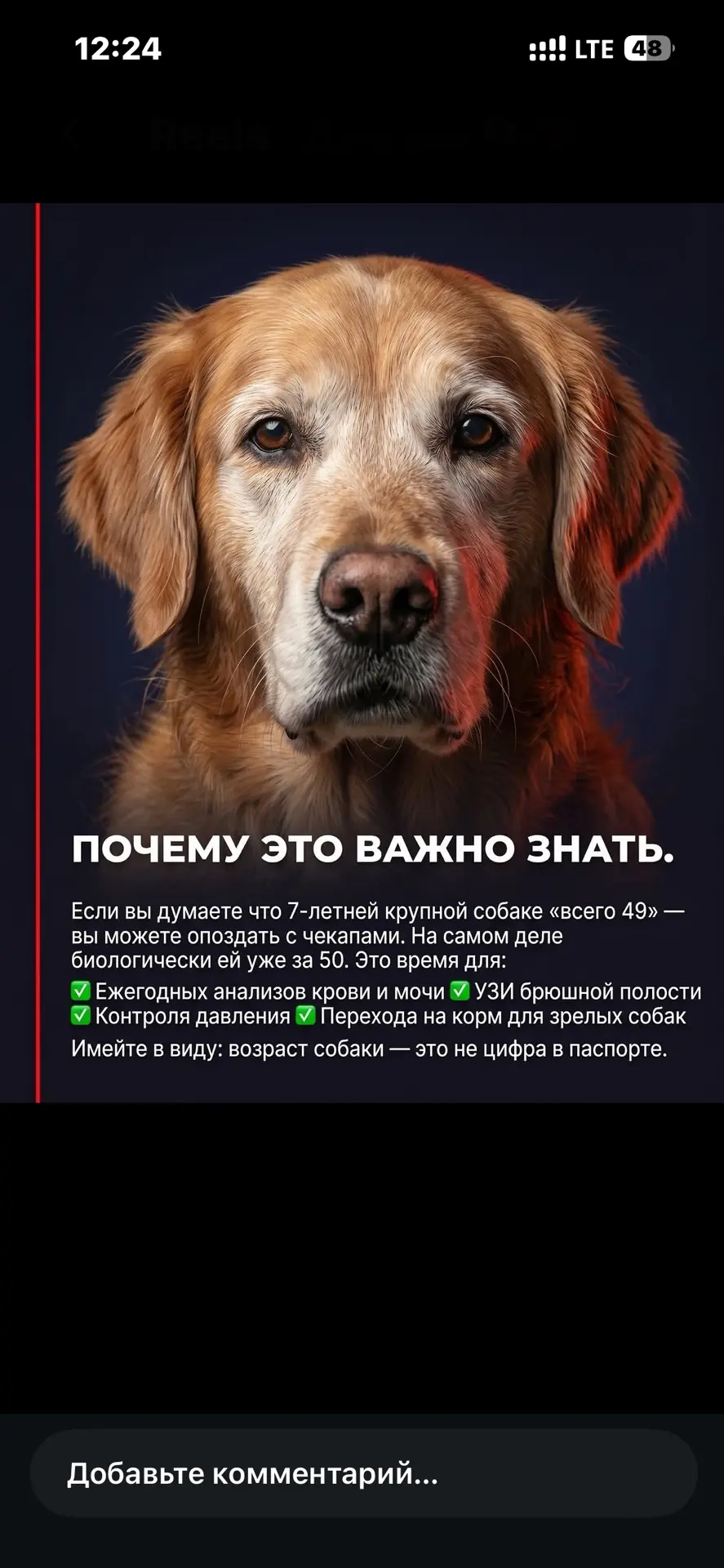 А вы знали?