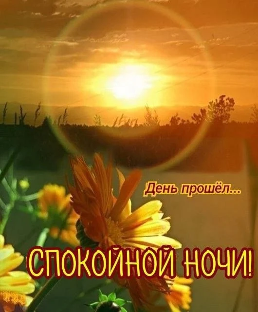 🌿🔶💛🌿🔶💛🌿🔶💛

Вот и день сменился на прекрасное время — ночь! С ним пусть уйдут все тревоги и 
