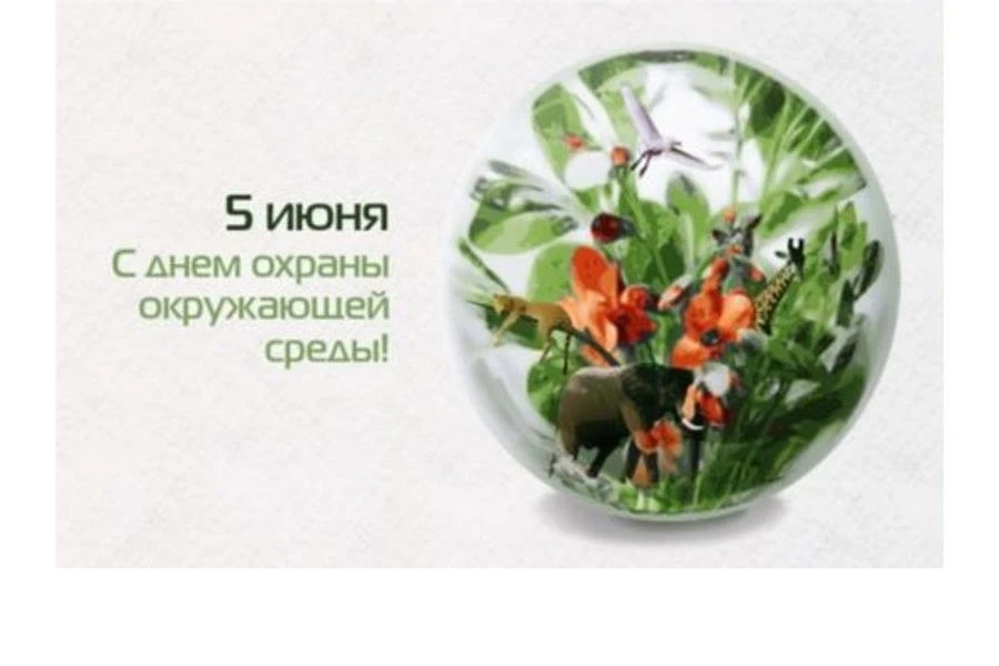 🌍 5 июня — Всемирный день окружающей среды 2026

**Тема года:** *Сейчас ради климата!*

В 2026 году