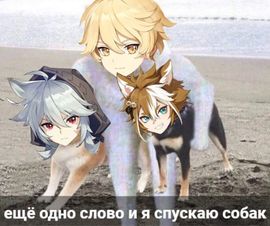 собаки на готове