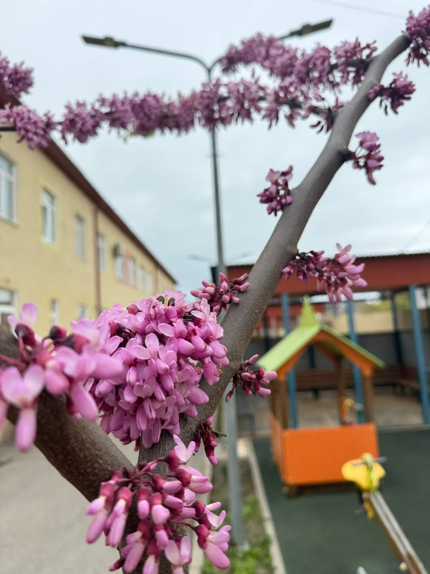 Приветствуем всех подписчиков нашего канала! 🌿
Пусть эта неделя будет продуктивной, насыщенной и пр
