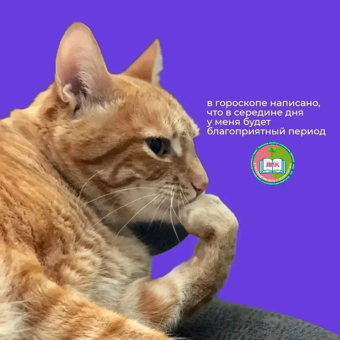 Наверное, это обед 🍕

Доброе утро, друзья! А вы верите в гороскопы? 

❤️ - да
😐 - нет