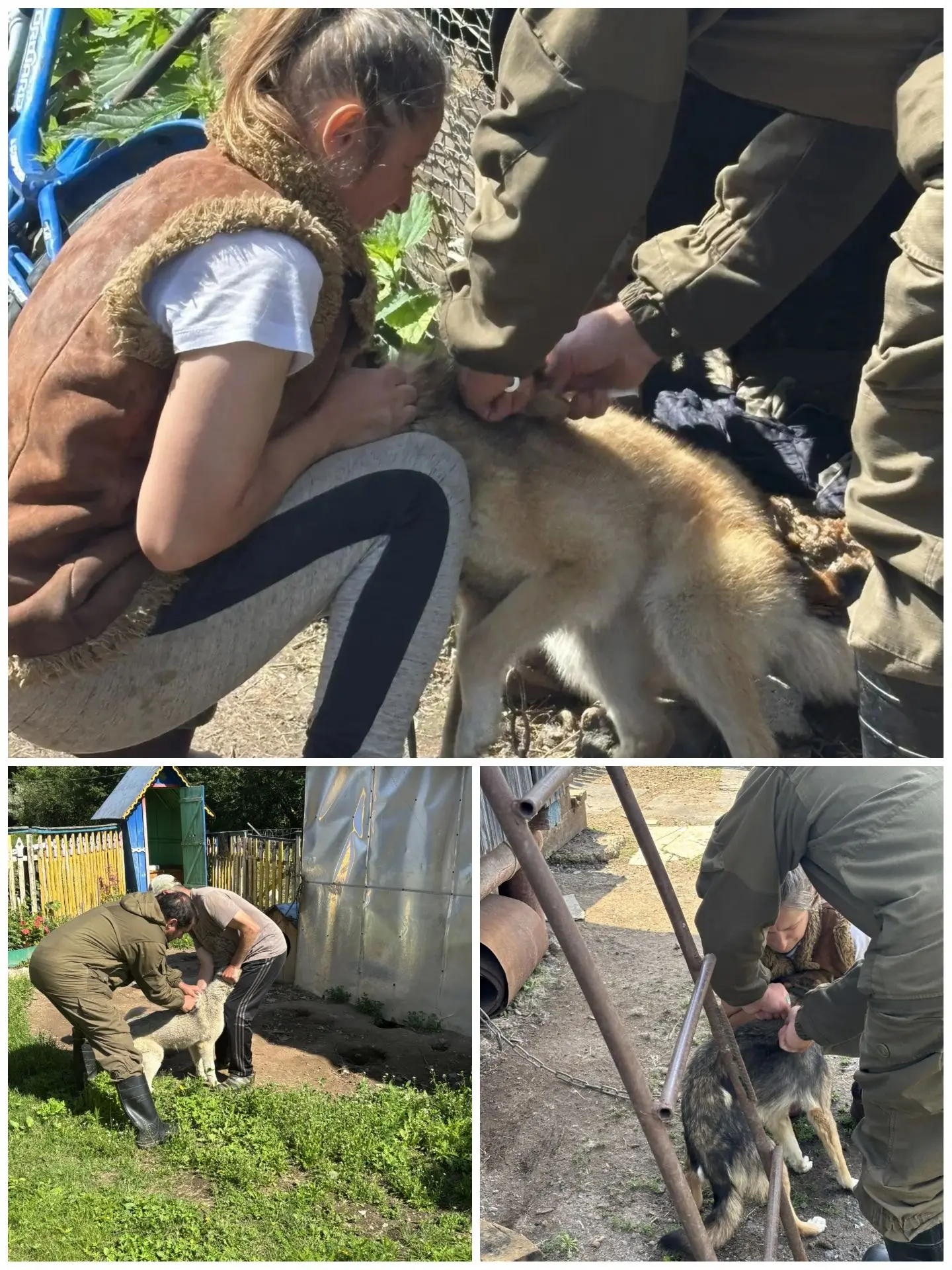 Вакцинация против бешенства 🐾