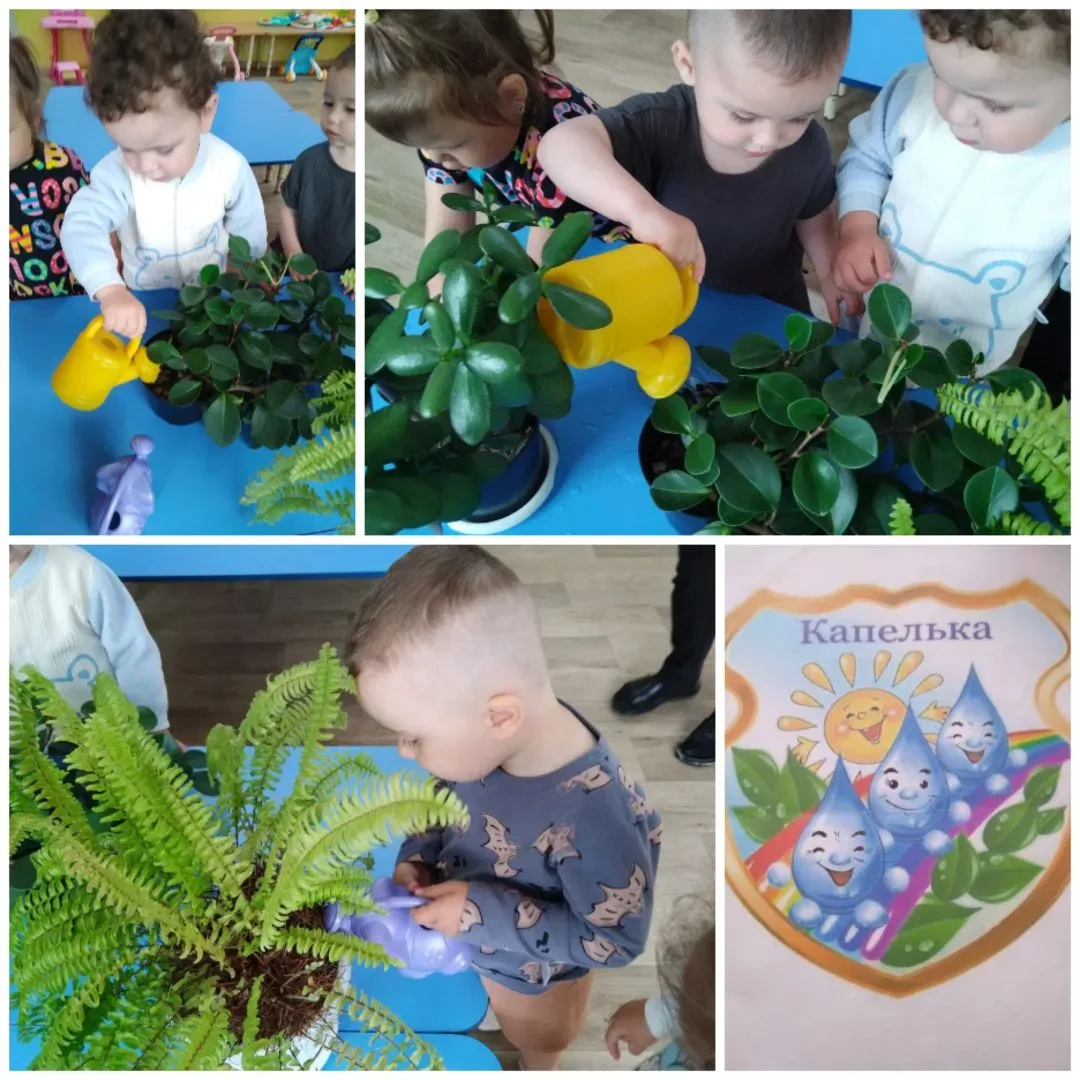 🌿 Маленькие ручки — большая забота!

В группе «Капельки добра» пополнение в «Зелёном уголке»! Наши 