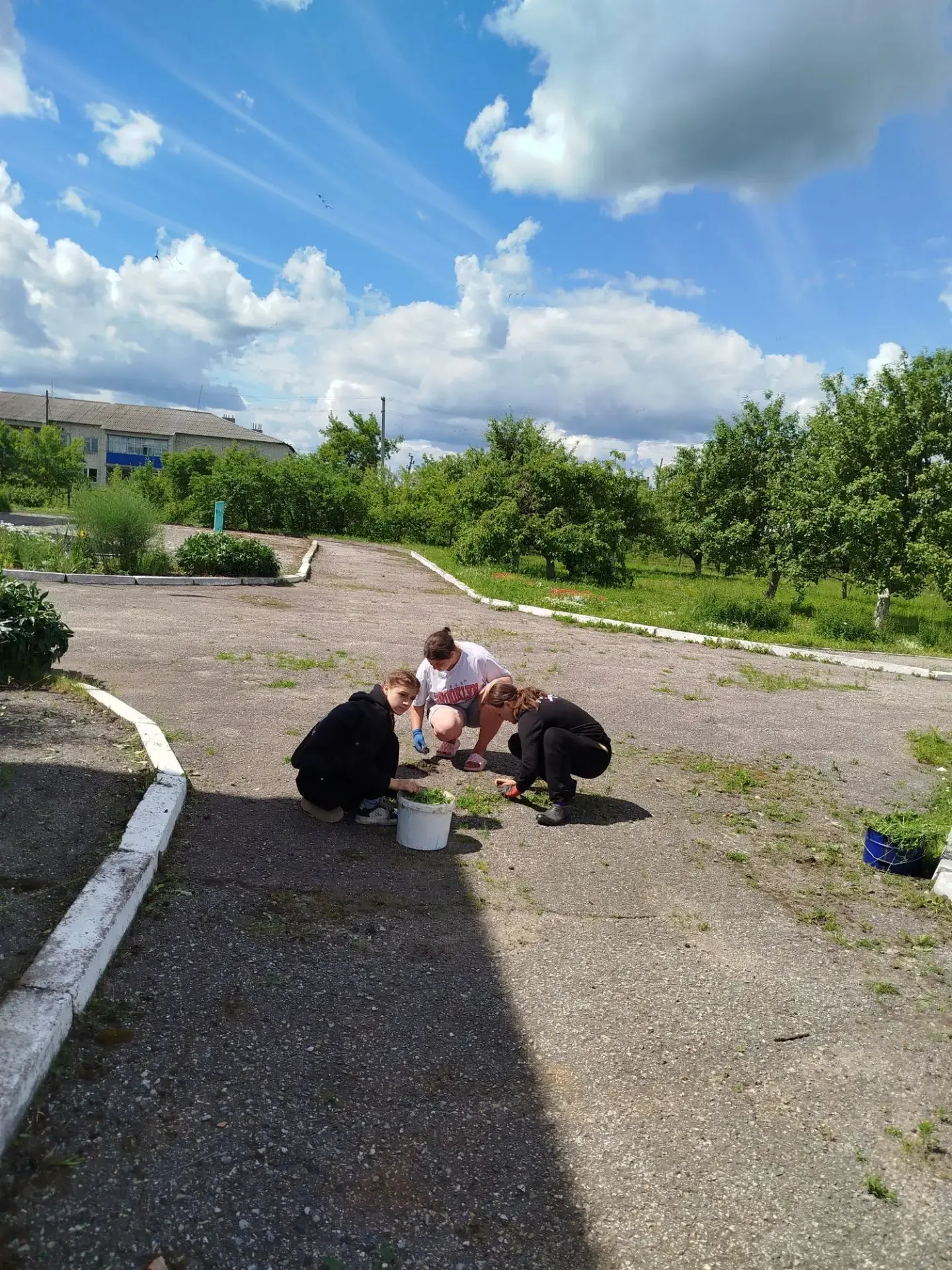 На практике в школе! Сегодня ученики наводят чистоту на территории школы. Спасибо ребятам за помощь!