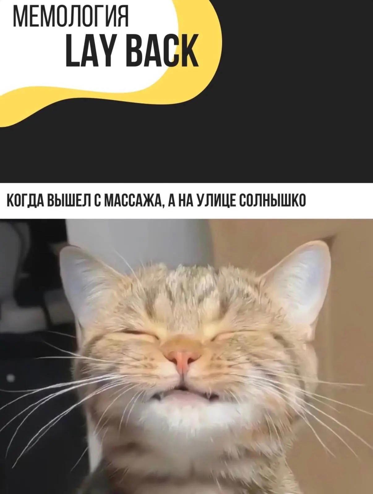 Кто ждёт лето, а потом жалуется на жару, вы здесь? 😁Наслаждаемся яркими солнечными лучами, скоро в 