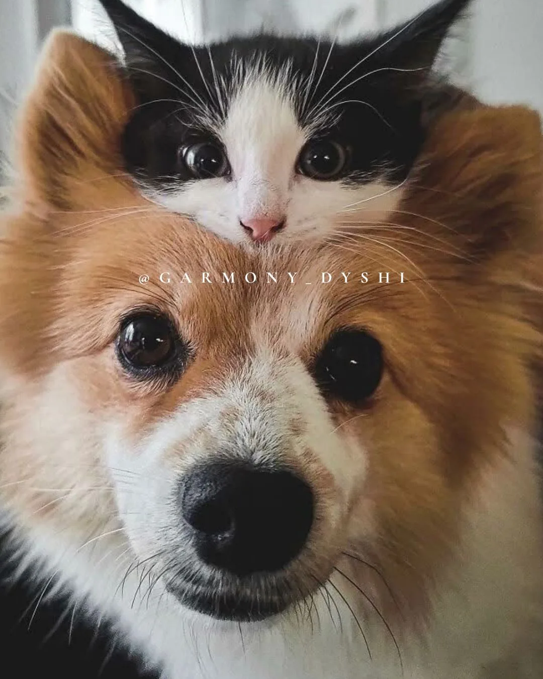 Если возникло непонимание 💔 или чувствуете отрицательную энергию . 

👀 Возьмите зрелую морковь и п