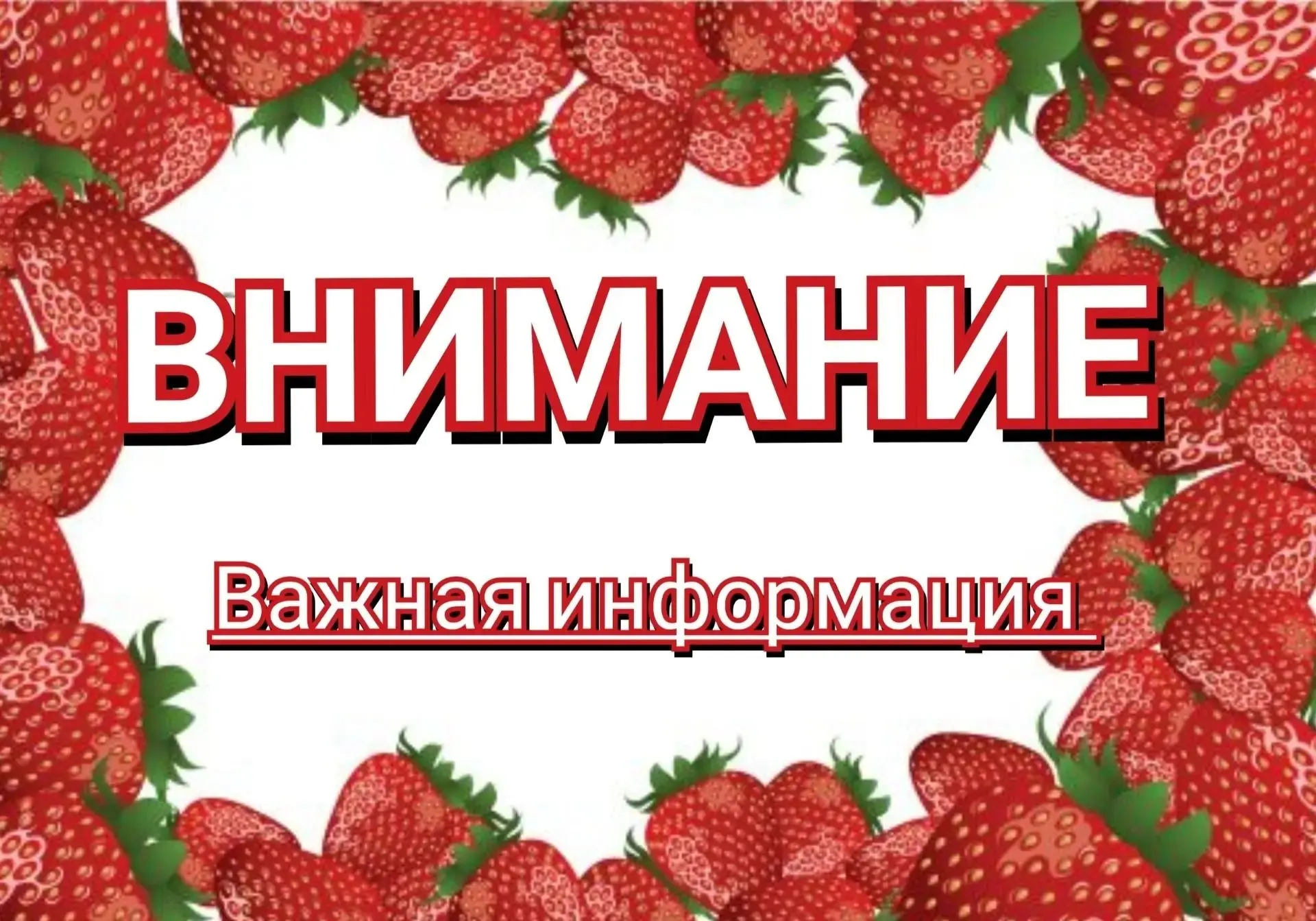 Внимание ⚠️

Друзья, хотим сразу предупредить: на полях в Субботино пошёл дождь, поэтому поставку кл