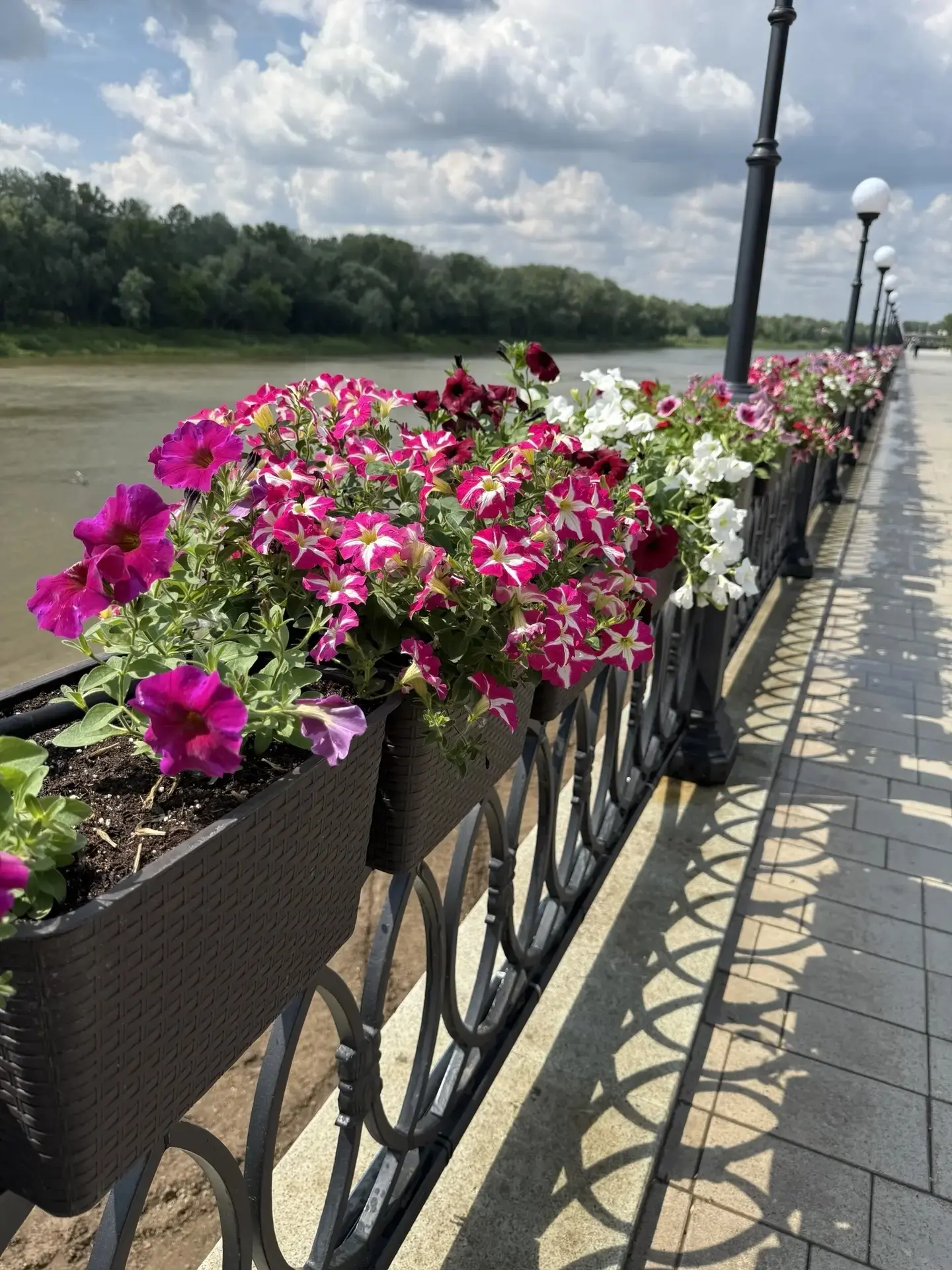 НАБЕРЕЖНАЯ УРАЛА ЗАЦВЕЛА!🌺🌿 
 
Нашим ландшафтным бюро выполнена невероятно масштабная работа на на