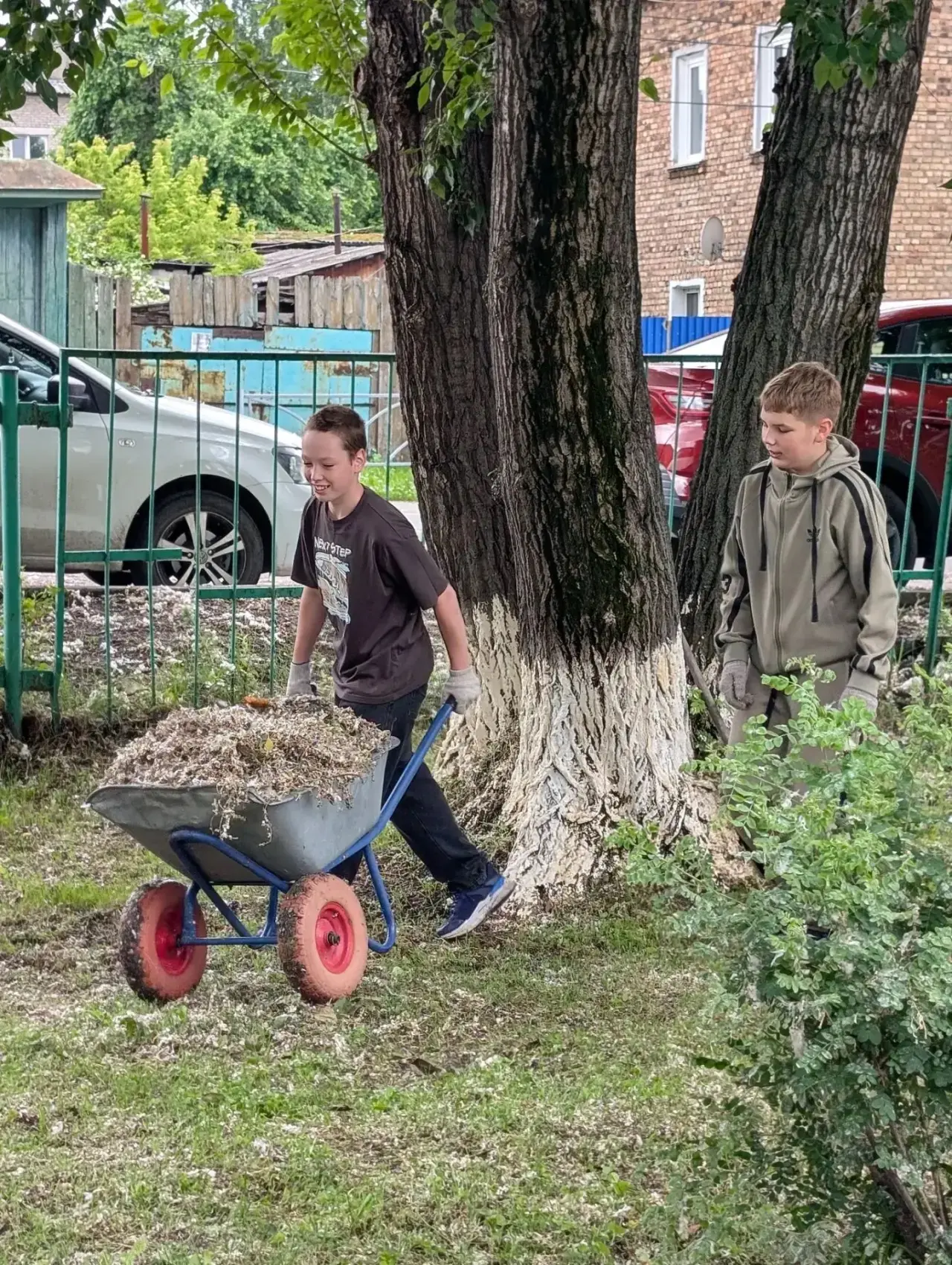 ☀️ Вторая смена лагеря труда и отдыха успешно продолжает работу!🌿🪏

За четыре дня ребята успели вы