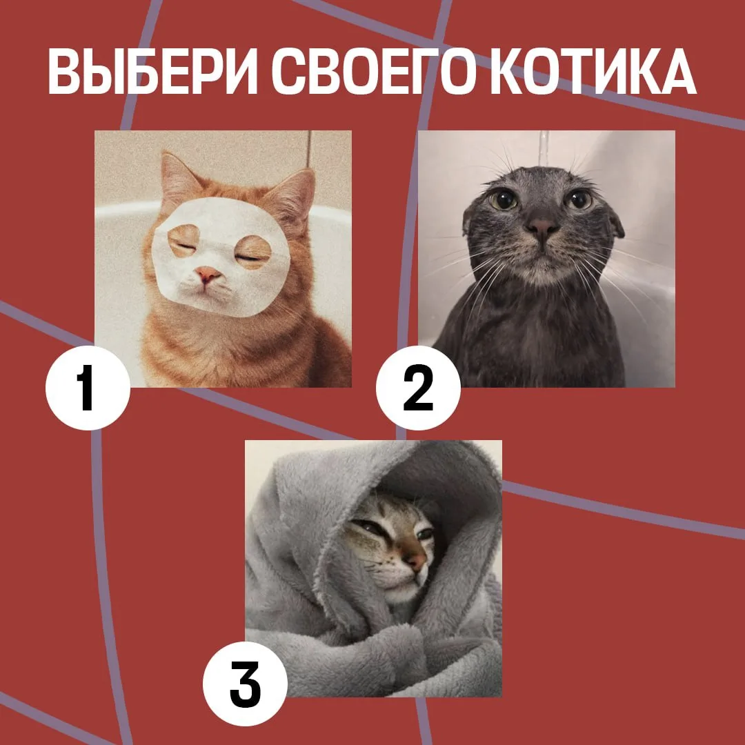 👀 Какой ты котик в такую погоду? 

У природы нет плохой погоды, но у всех отношение к проливным дож