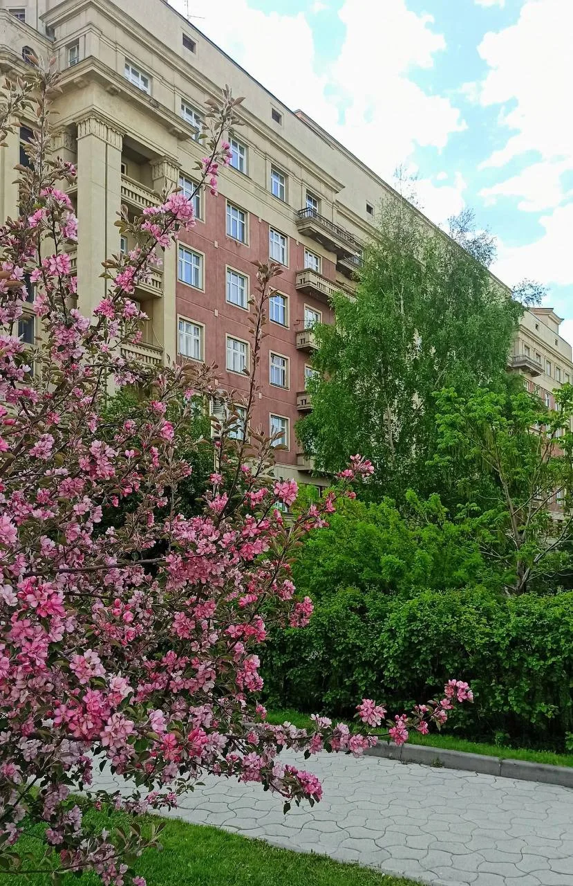 Доброго утра 💜 

Фото: Олег Бастриков