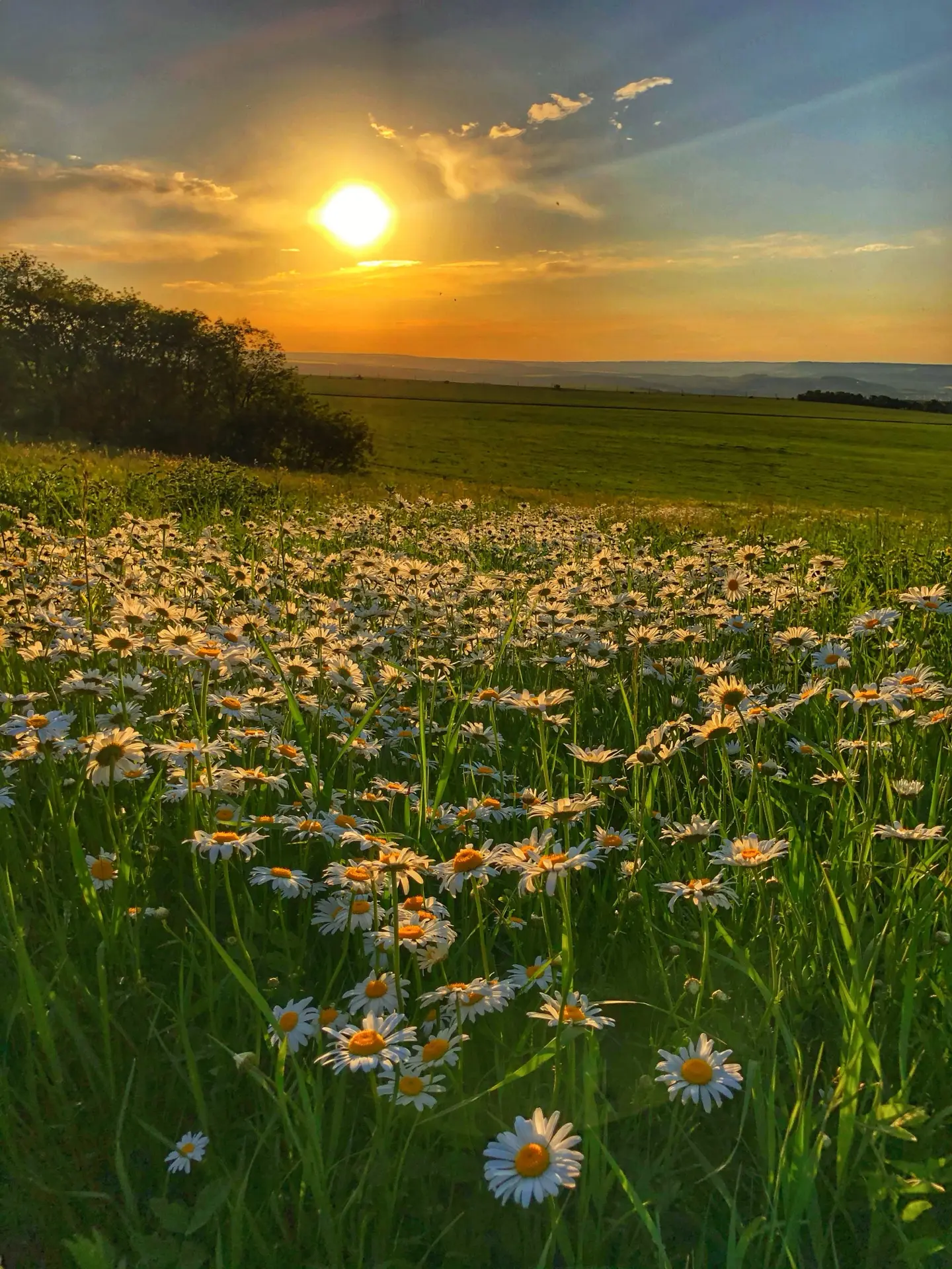 Родные просторы 🌼🌅

Друзья, оцените как Вам эта фотография от 1 до 10 ? 

Обратная связь очень важ