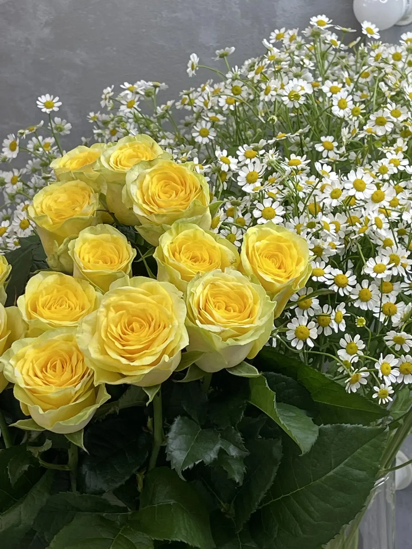 Разбираем свежую поставку 😍

Цветы на бульваре
г. Серпухов бульвар 65 Лет Победы д. 19

Работаем с 