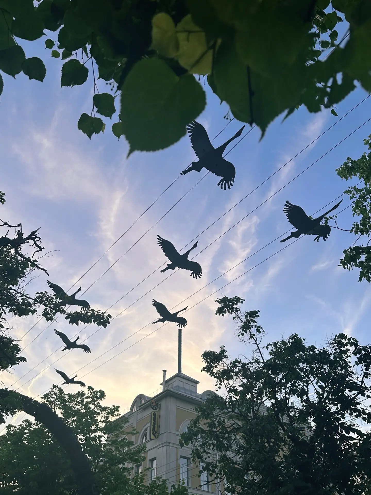 Летняя Калуга прекрасна