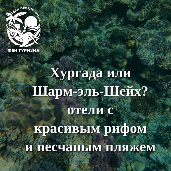 ❓Кому что подойдёт?

☀️Хургада: семьям с детьми, туристам, которые хотят сэкономить, любителям экску