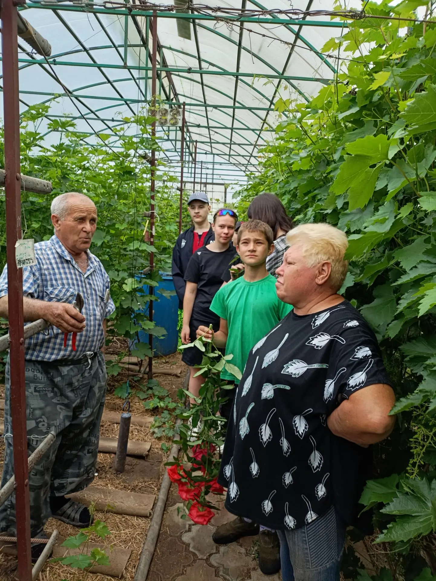 🌿🌿🌿🌿🌿🌿🌿🌿🌿🌿🌿🌿🌿🌿🌿Экскурсия в подсобное хозяйство: знакомство с искусством выращивания в