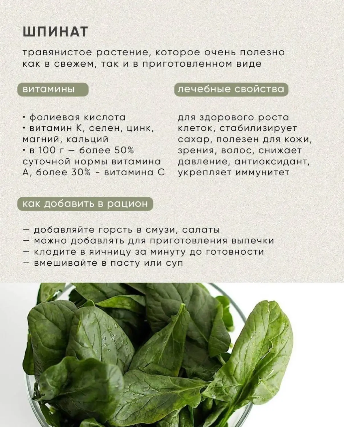 Немного о зелени, которая должна быть в рационе 🥬🤍

Мои фавориты — шпинат и пак-чой, а вот рукколу
