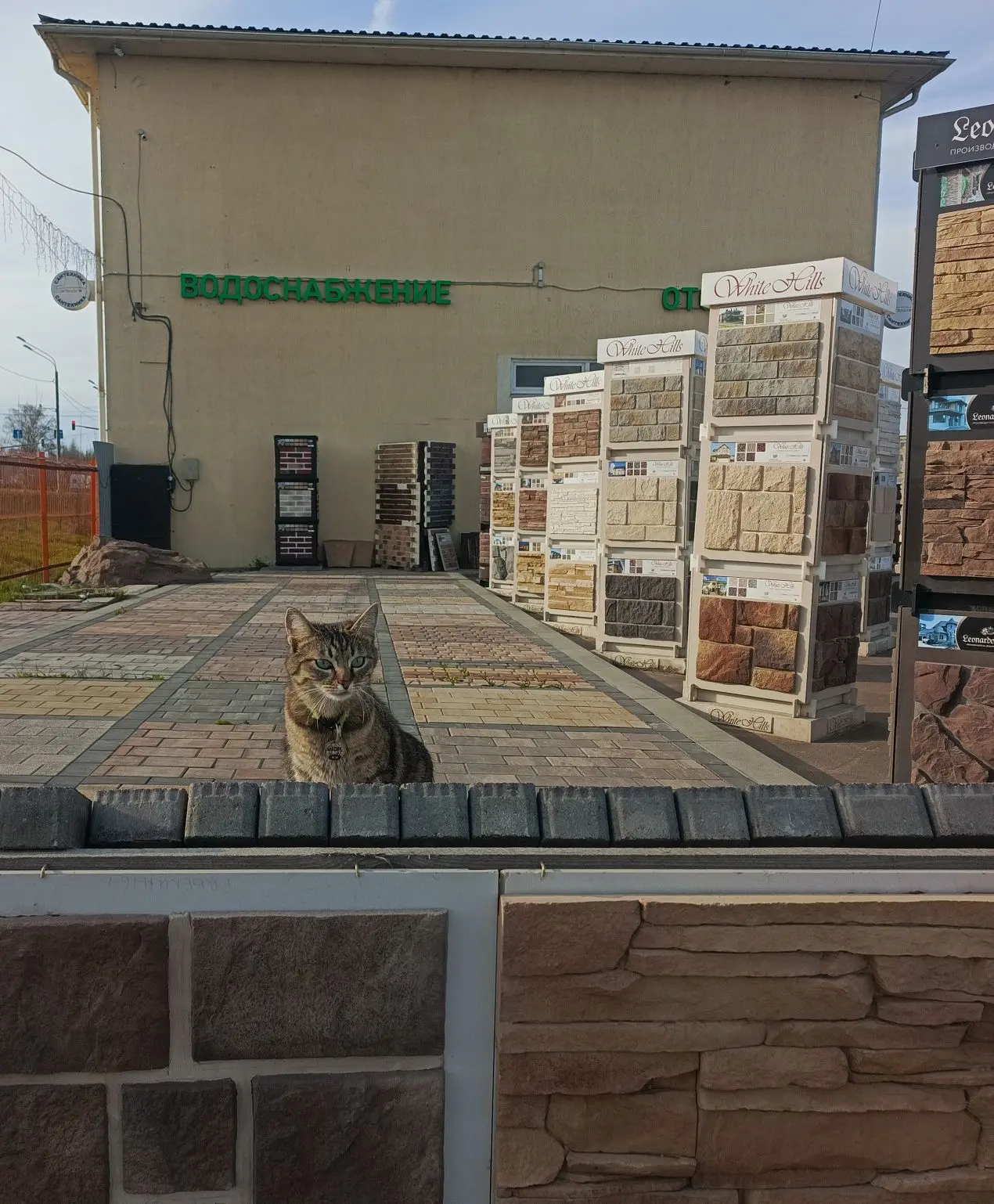 Мы с Масяндром на границе, нас с Масяндром враг боится!😼

Это наша поляна!
Границы бдим зорко)